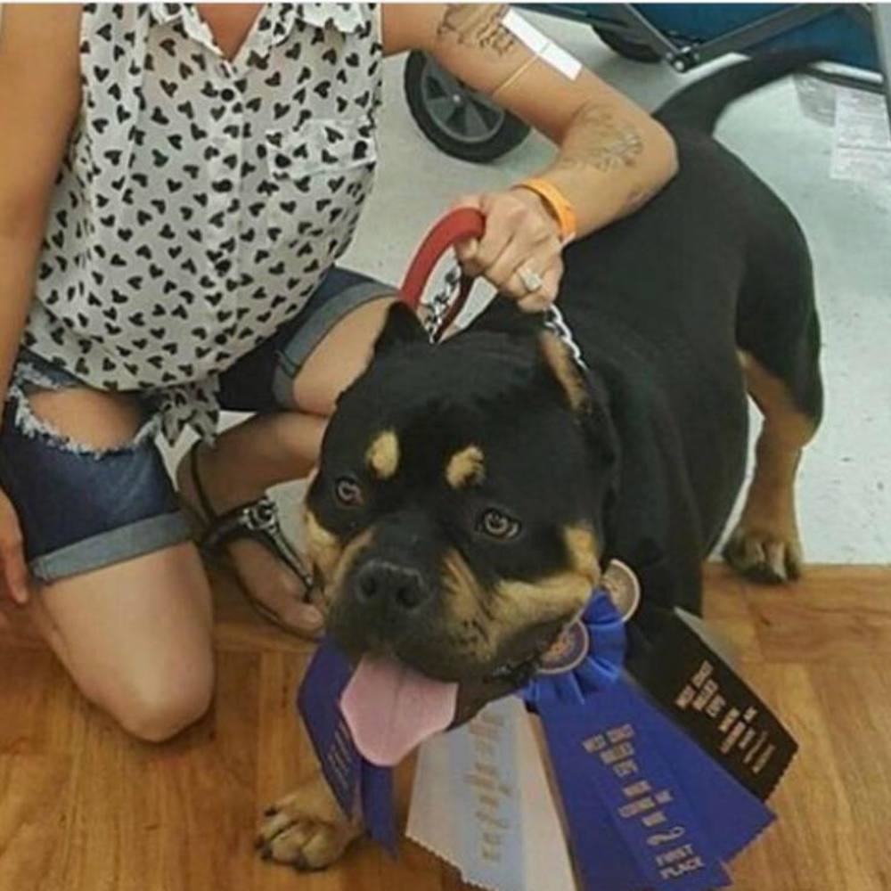 Meet your Posher, Oscar